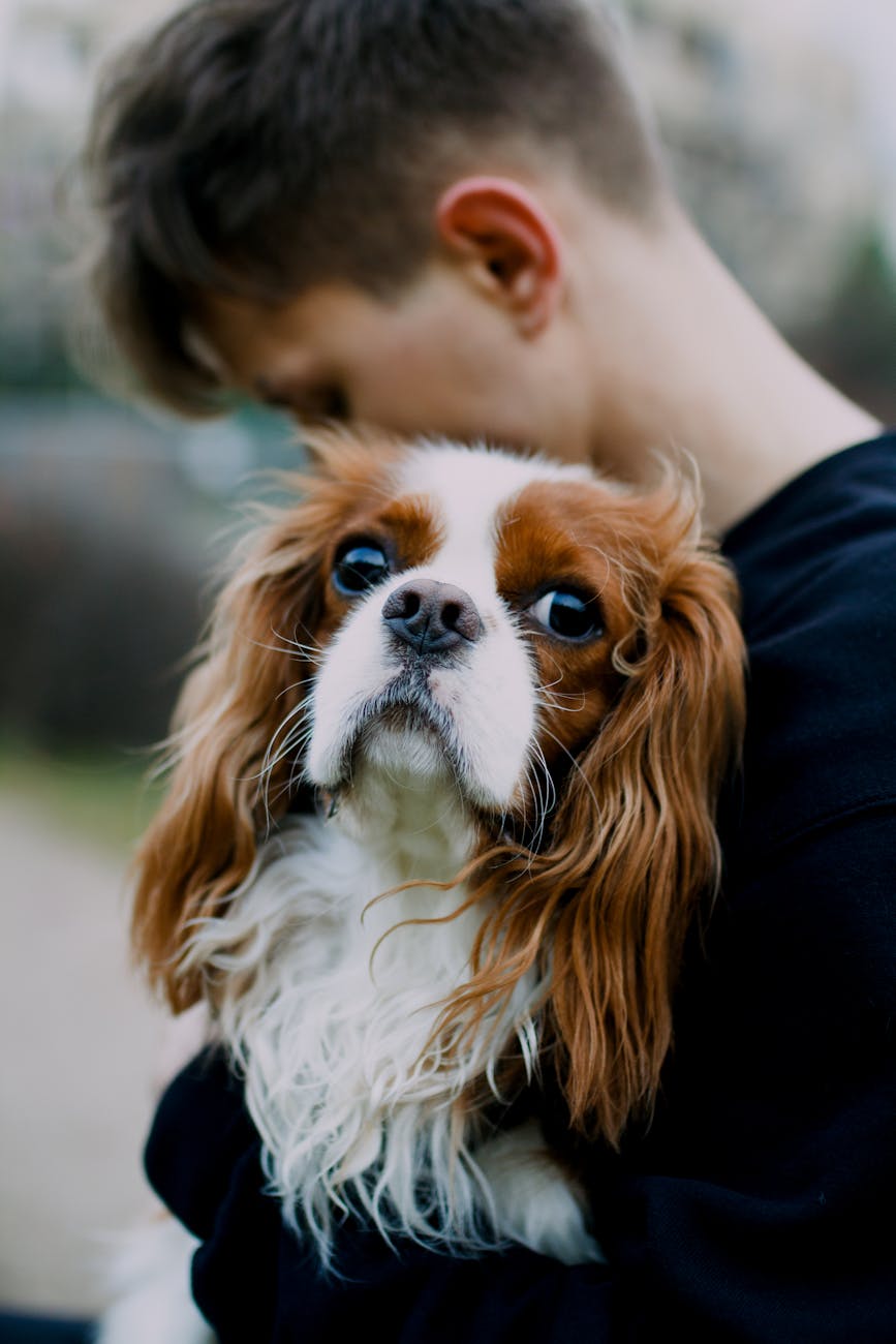 man holding dog